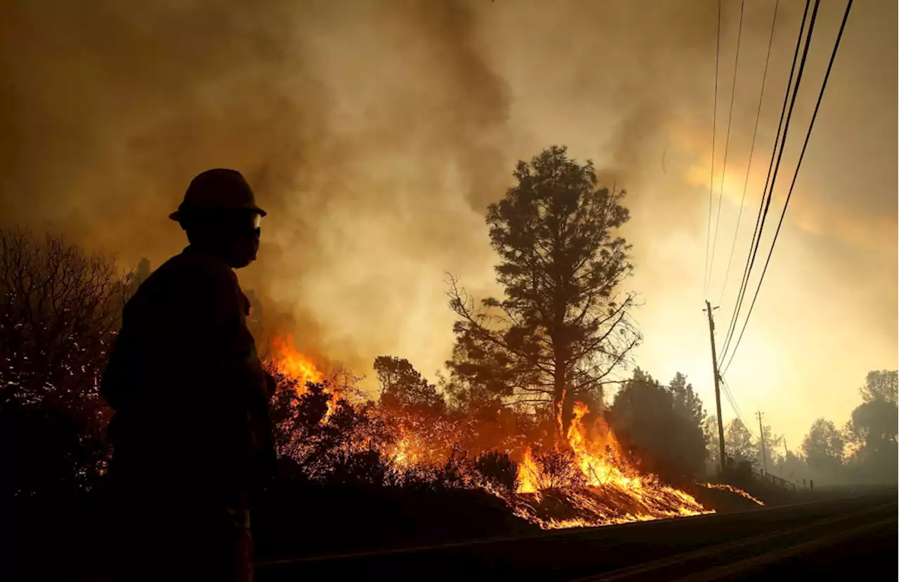 Want to learn more about climate change? Check out these book recommendations