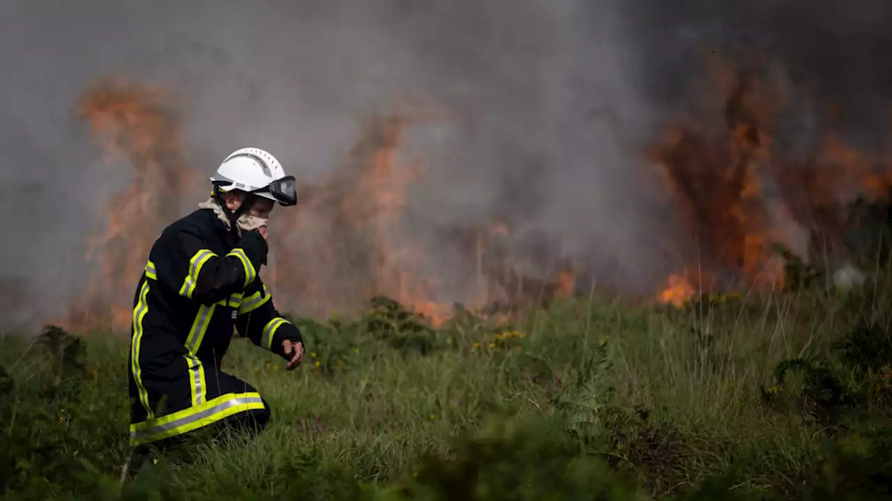 Europe on path to set wildfire record this summer