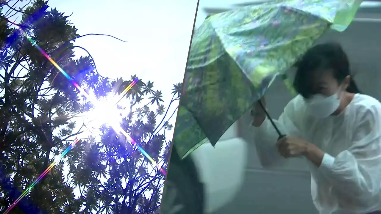 공식 다 깨진 '장마와 무더위'...'우기 도입 고려해야'