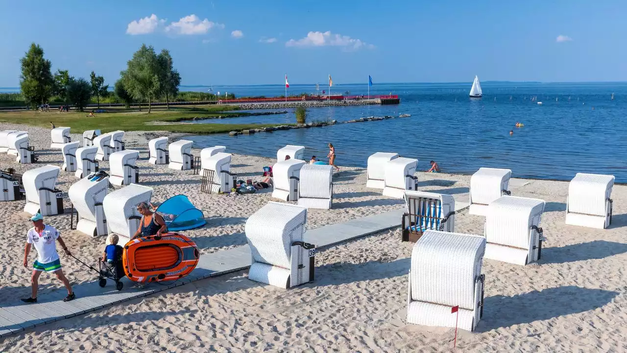 Fischsterben in der Oder: Sorge um Stettiner Haff wächst