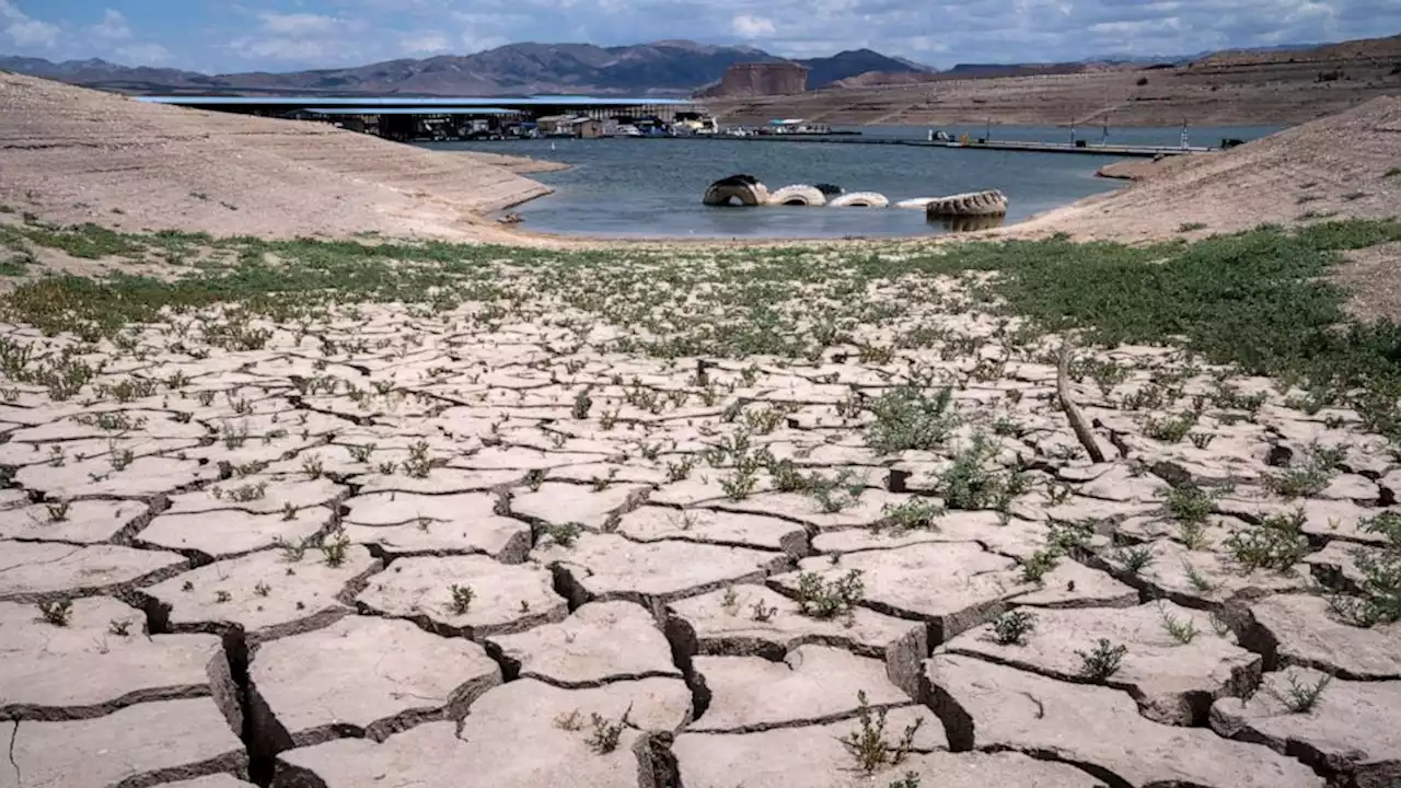 5th set of human remains found in receding Lake Mead