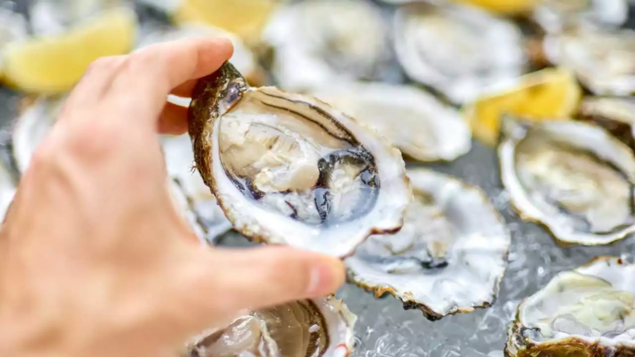 2 deaths in Florida linked to raw oysters from Louisiana