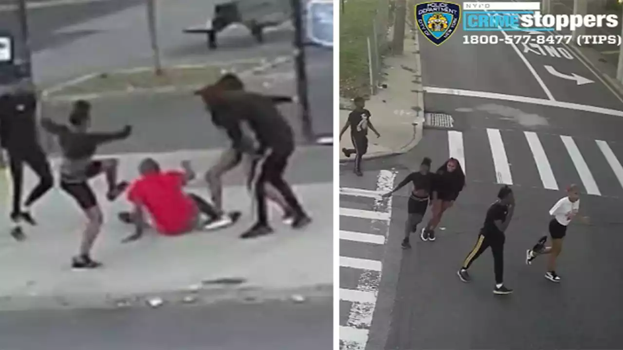 Surveillance video shows deadly attack on Queens taxi driver; 1 suspect identified