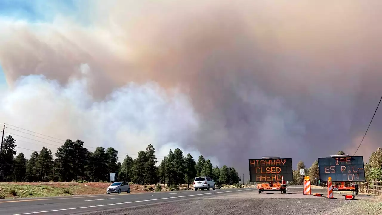 We can cut Arizona's risk of wildfire and extreme weather without running up debt