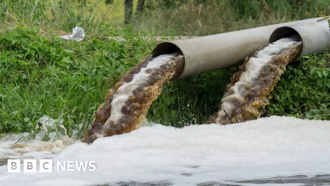 Sewage hits dozens of beaches in England and Wales after heavy rain