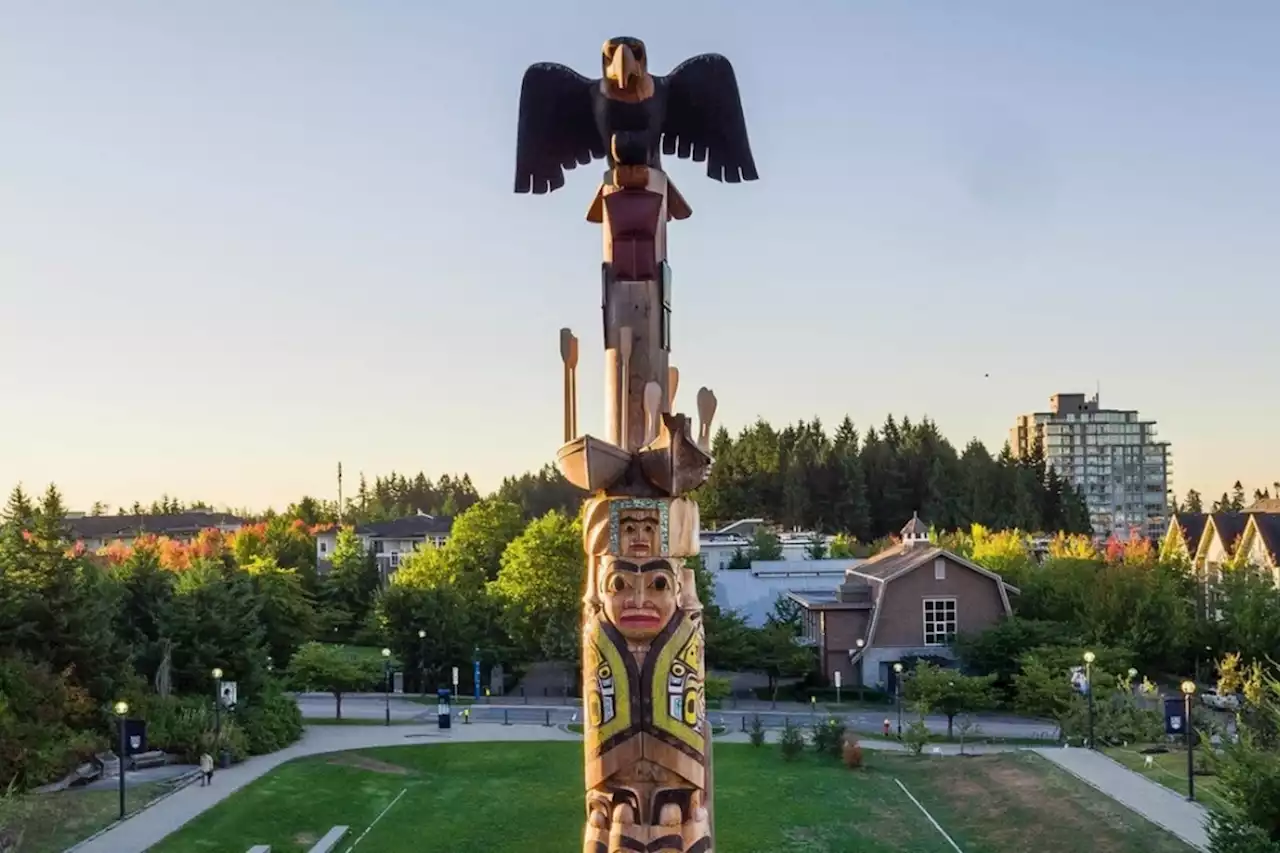 Are B.C.'s public universities, colleges considering a mandatory Indigenous Studies course?