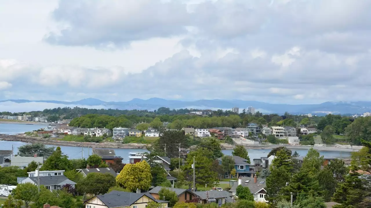 Oak Bay seeking feedback on plan to diversify housing types in municipality