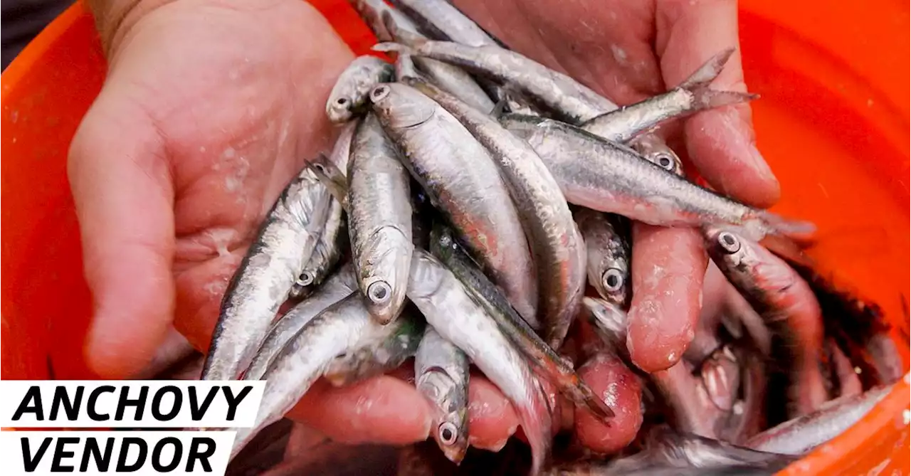 How the Best Anchovies Make It to San Francisco Restaurants