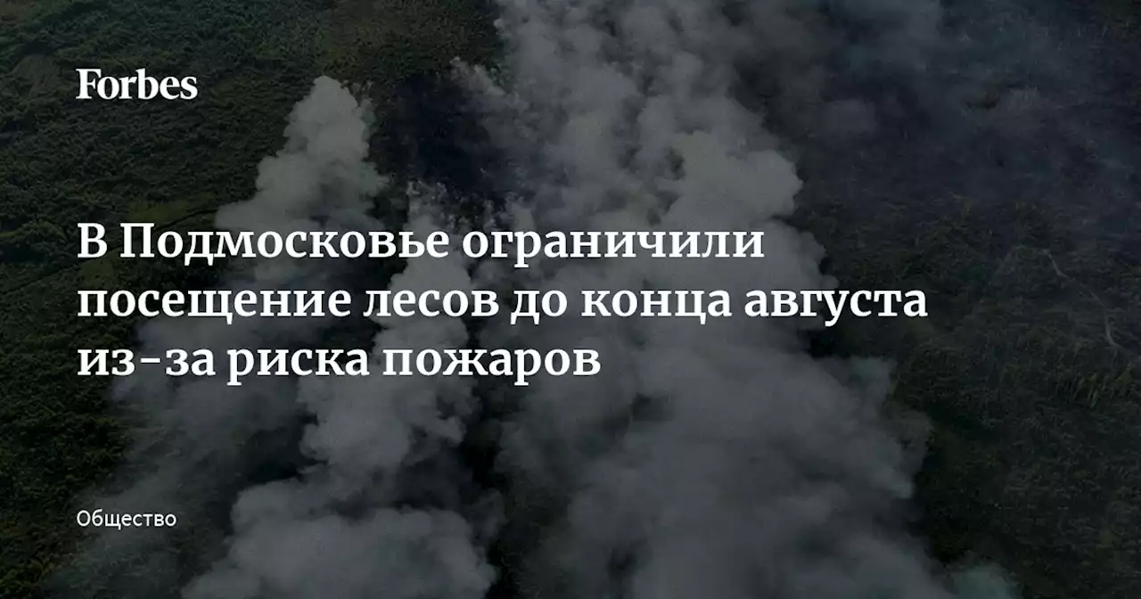 В Подмосковье ограничили посещение лесов до конца августа из-за риска пожаров