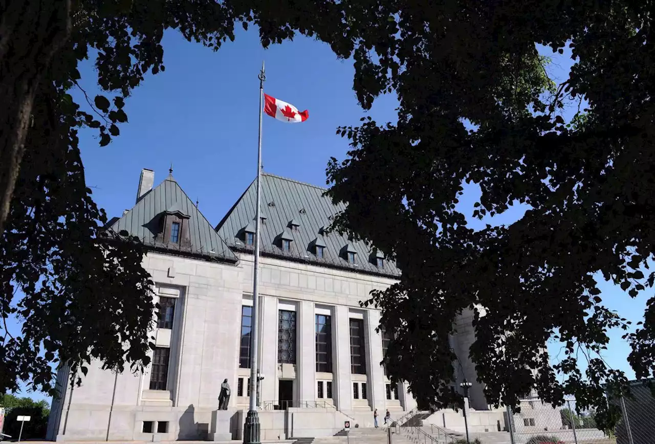 Supreme Court to review mandatory minimum penalty for child luring offence