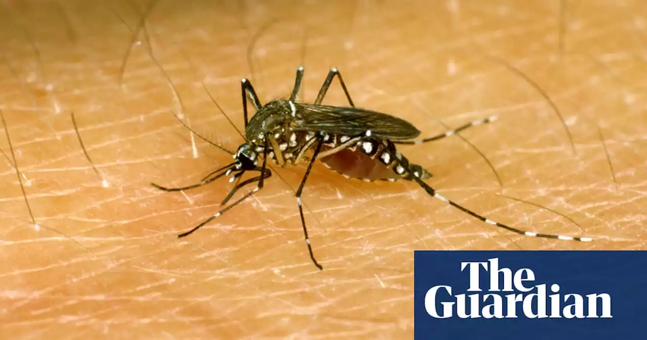 Scientists discover how mosquitoes can ‘sniff out’ humans