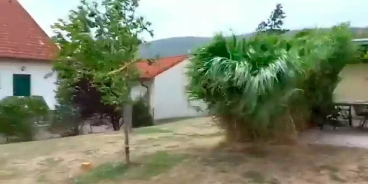 Video zeigt, wie heftig Orkan-Unwetter über NÖ fegt