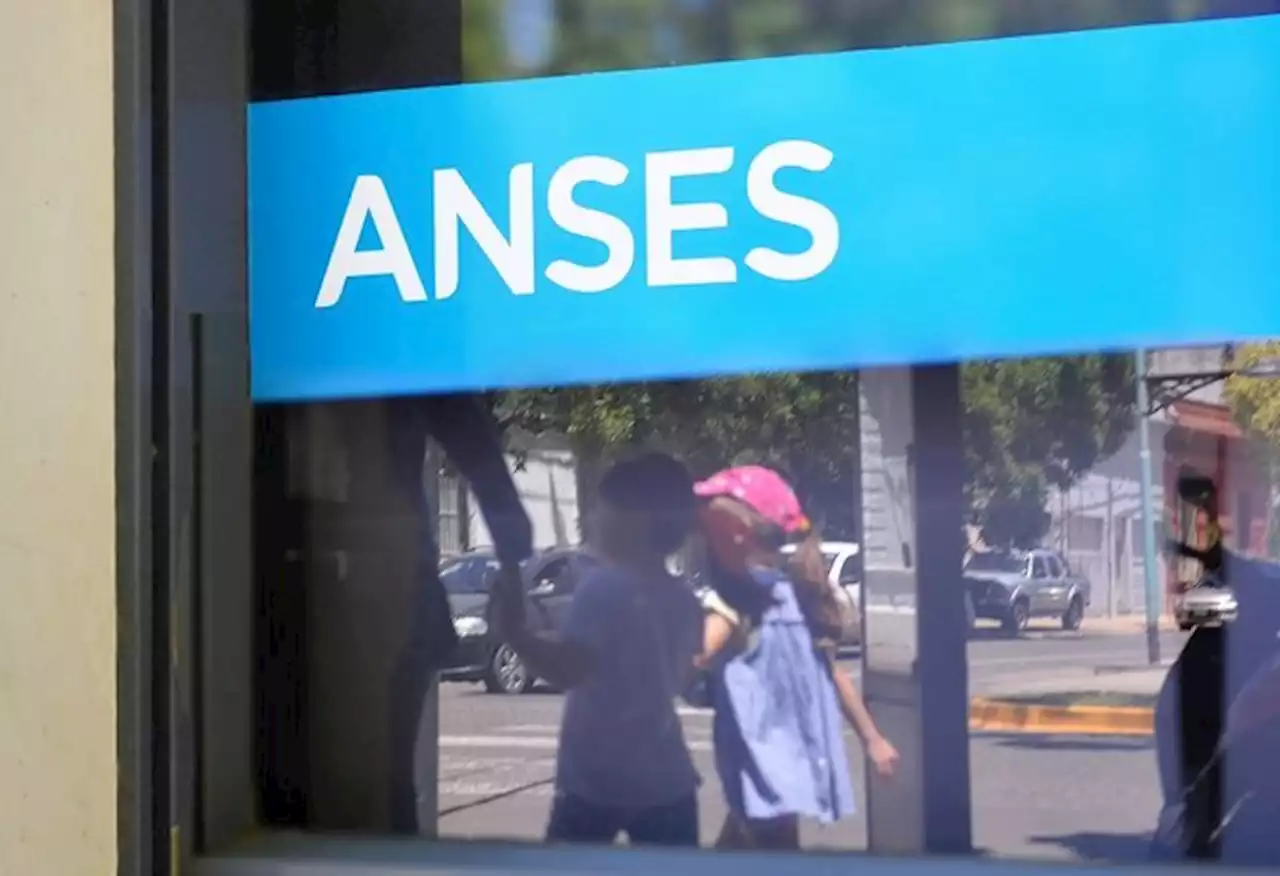 SUAF ANSES: quiénes pierden el derecho a cobrar el complemento