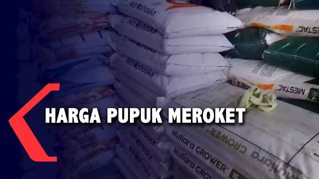 Harga Pupuk di Kabupaten Karo Meroket Tajam