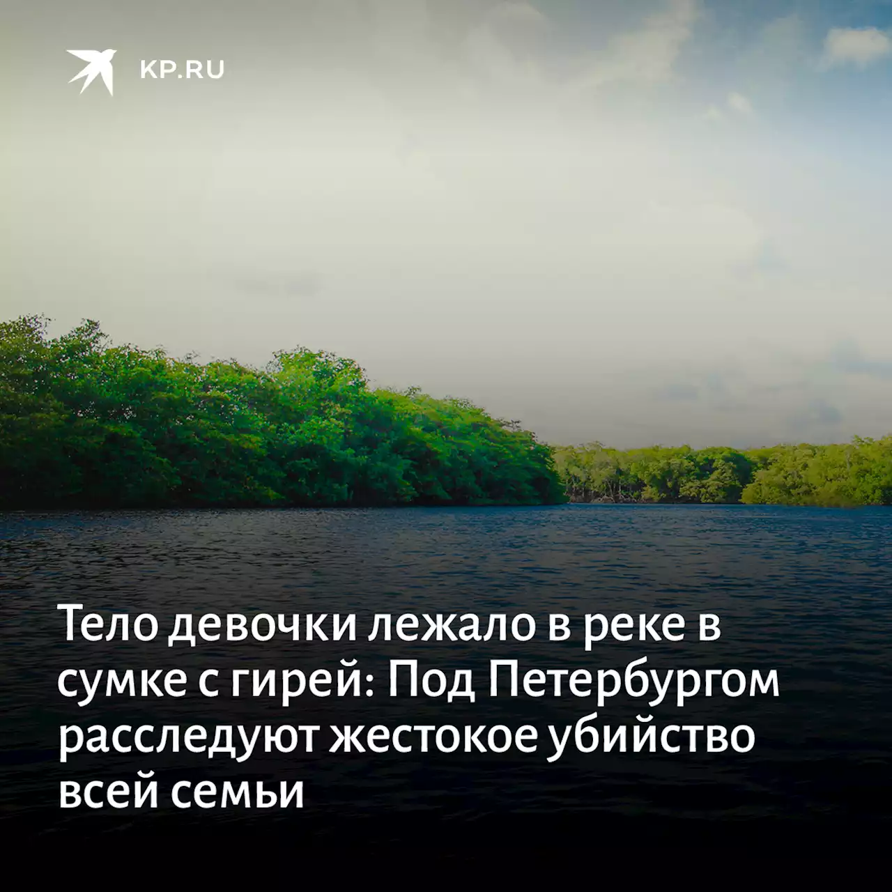 Тело девочки лежало в реке в сумке с гирей: Под Петербургом расследуют жестокое убийство всей семьи