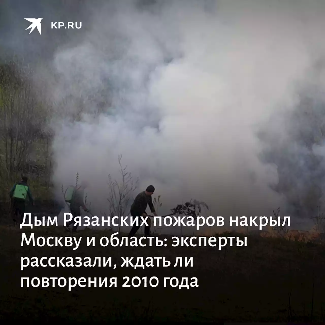 Дым Рязанских пожаров накрыл Москву и область: эксперты рассказали, ждать ли повторения 2010 года