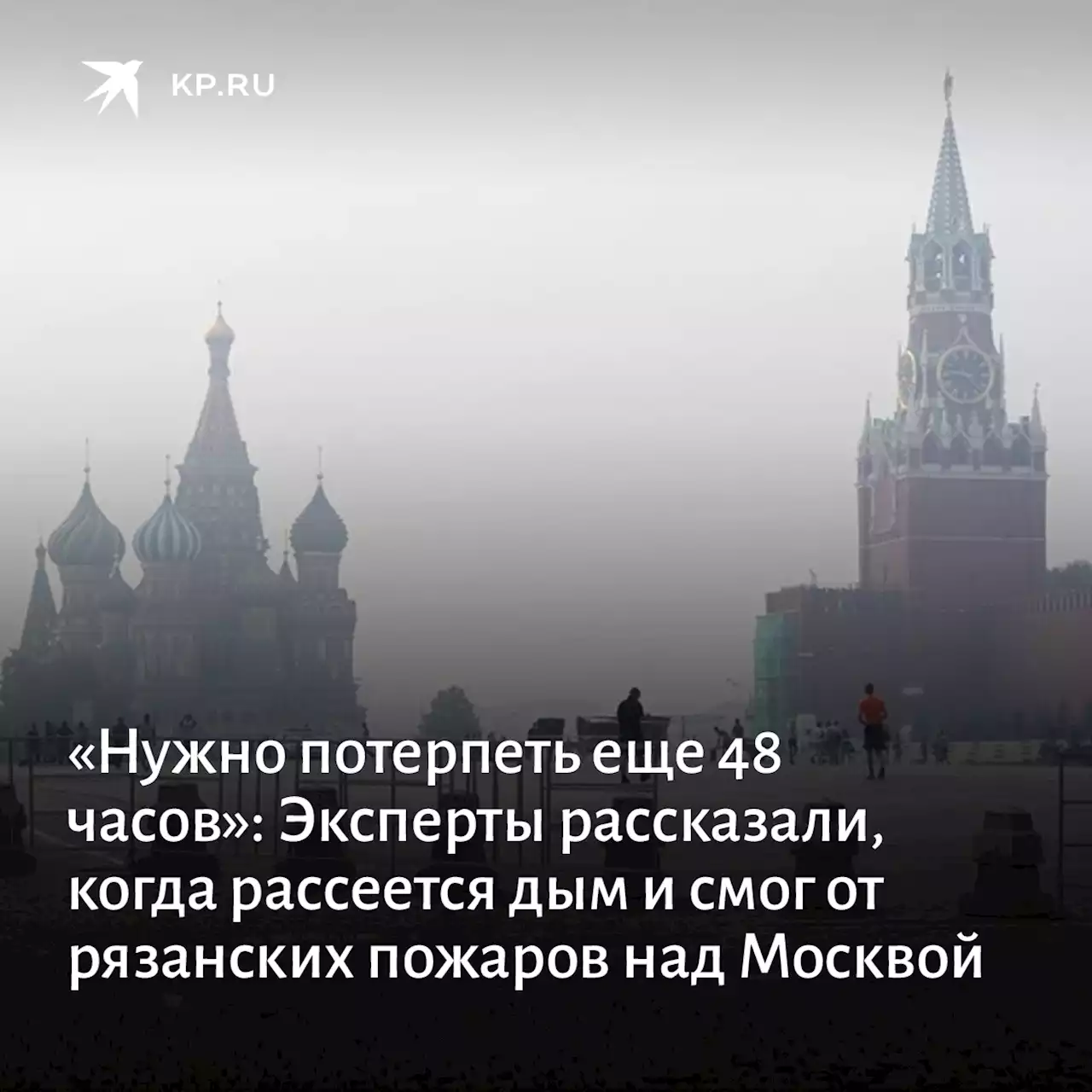 Смог в Москве из-за лесных пожаров в Рязанской области продержится еще двое суток