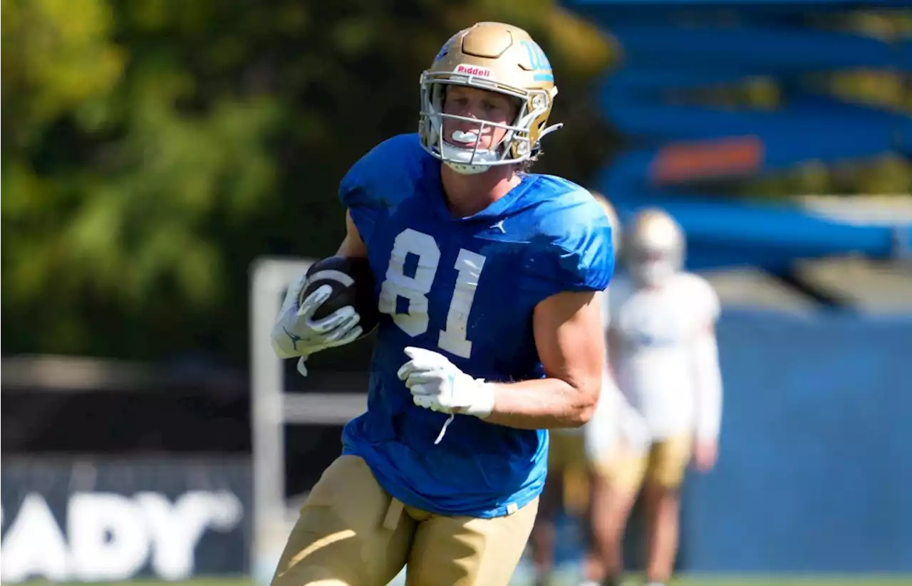 Former walk-on Hudson Habermehl earning a shot at TE for UCLA