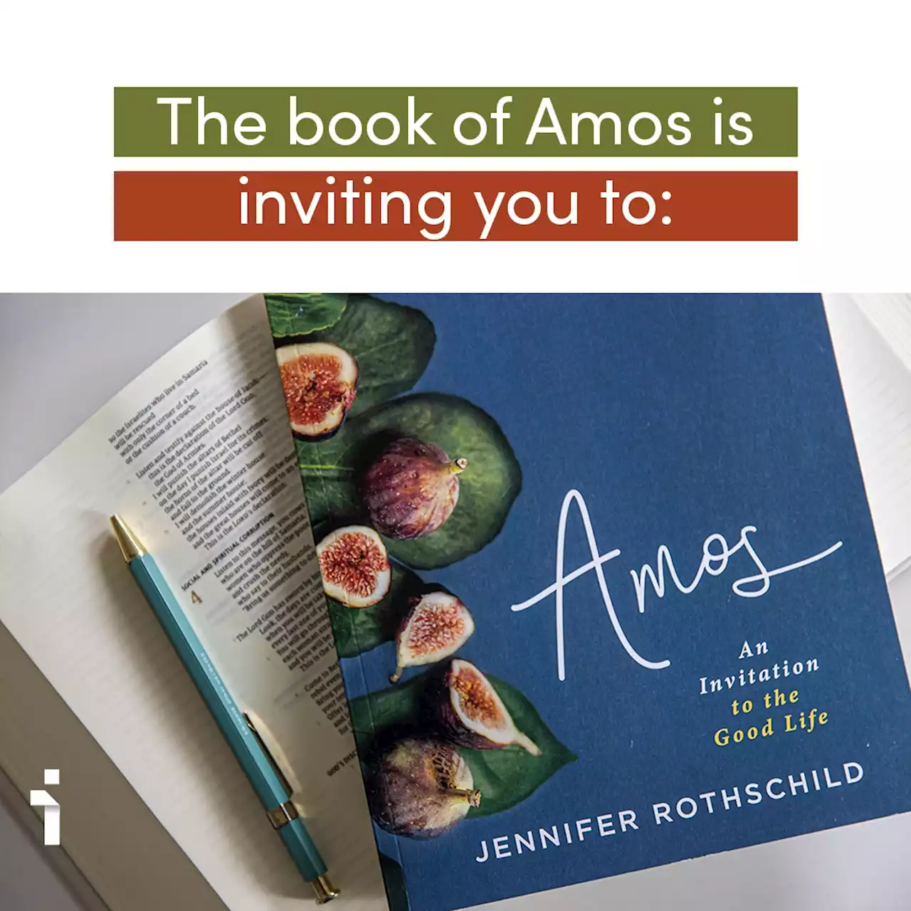 Amos Bible Study by Jennifer Rothschild | Lifeway