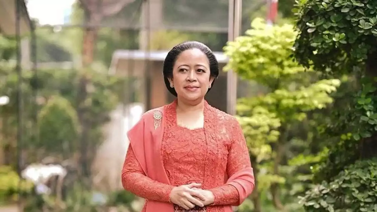 Dinilai Nasionalis Sejati, Puan dapat Dukungan Maju di Pilpres