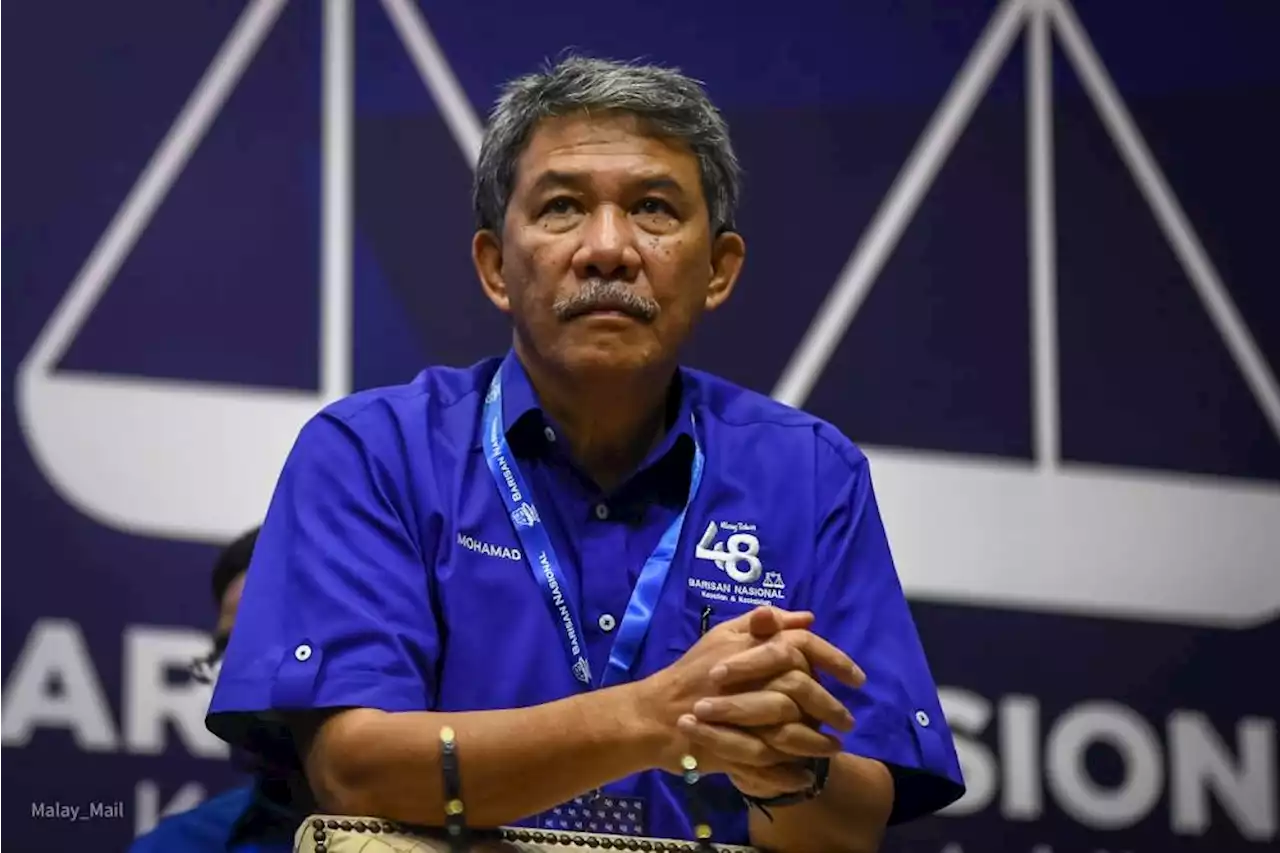 Tok Mat: Johor BN needs to secure 20 out of 26 federal seats for GE15