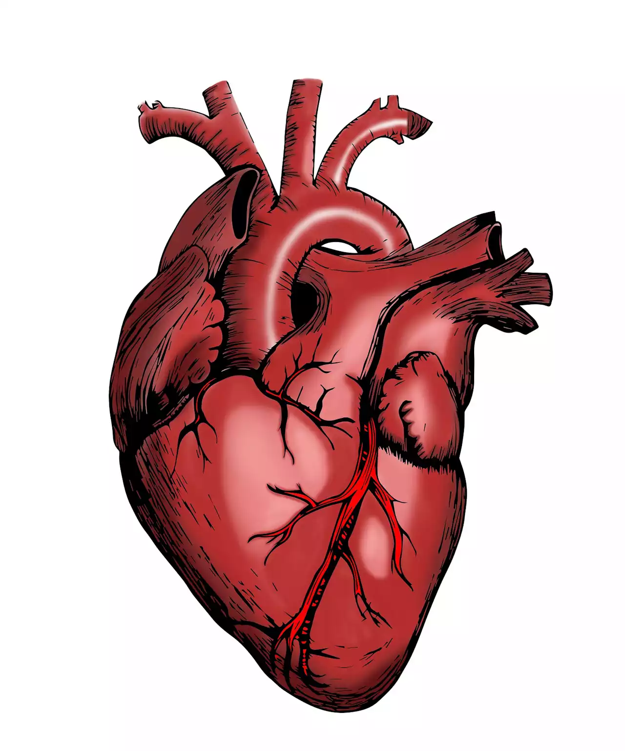 Reduced myocardial blood flow is new clue in how COVID-19 is impacting the heart