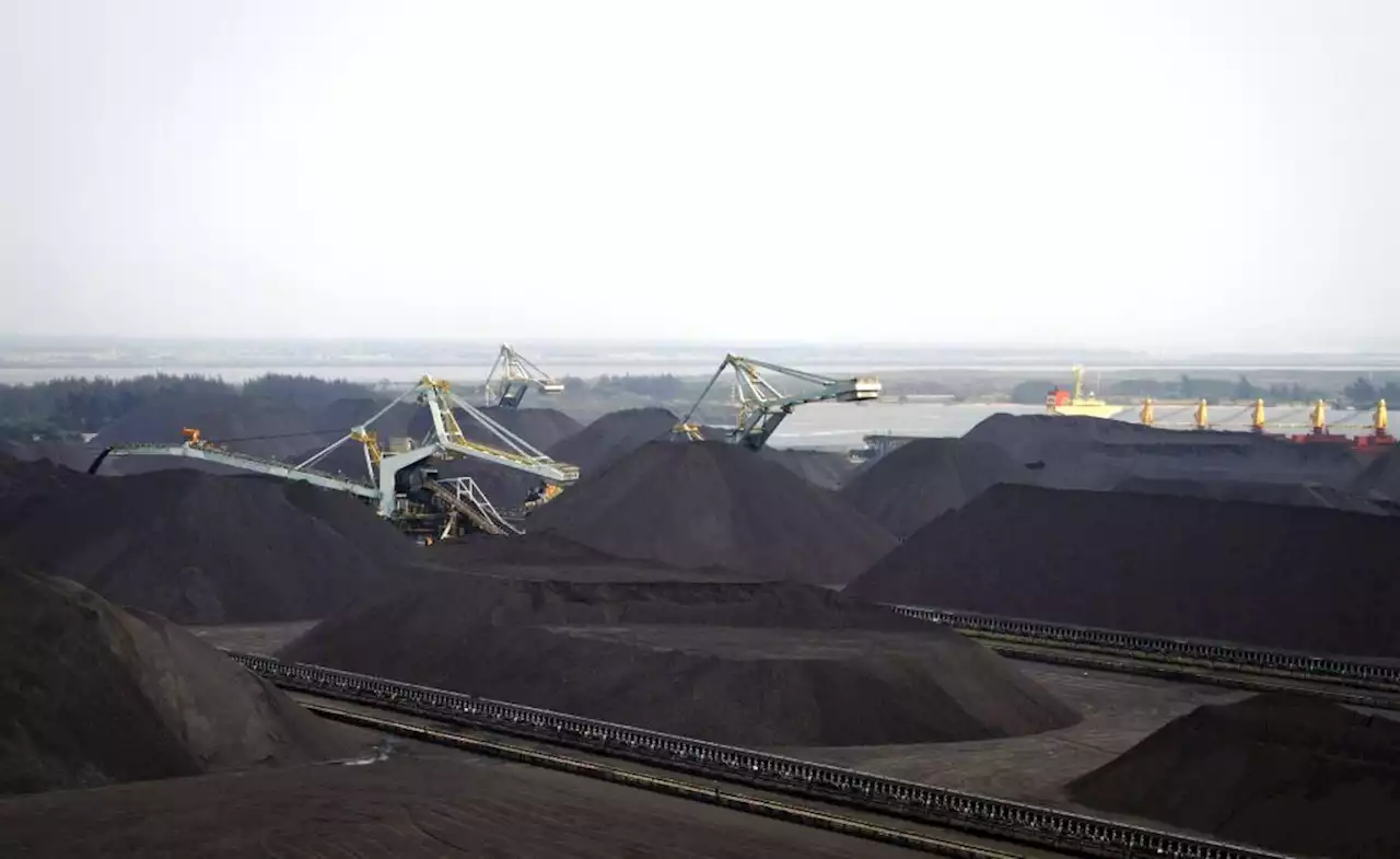 Exxaro says rail snags hobble coal exports