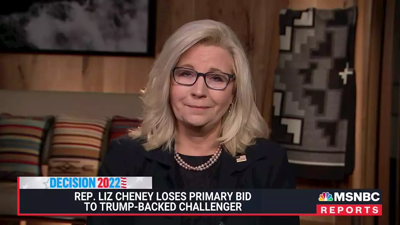 The best thing Liz Cheney can do if she wants to stop Trump