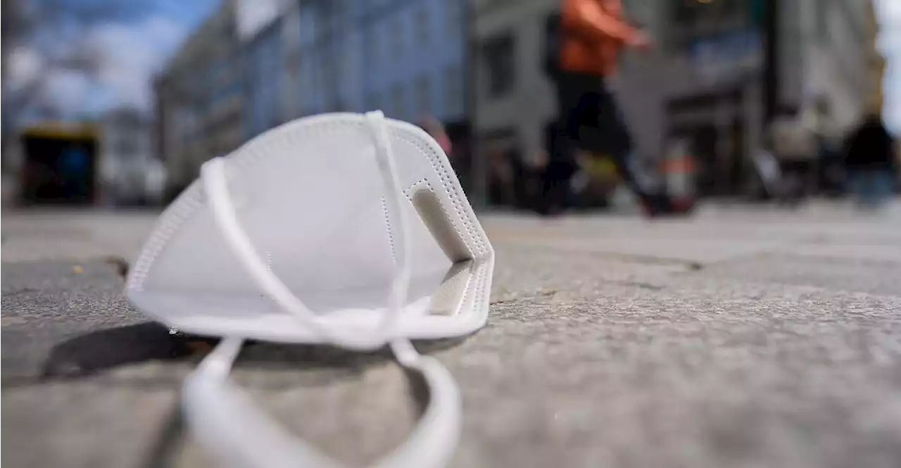 Maskenskandal: Palmers und Hygiene Austria weisen Vorwürfe zurück