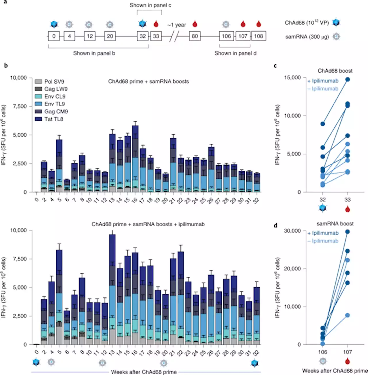 Individualized, heterologous chimpanzee adenovirus and self-amplifying mRNA neoantigen vaccine for advanced metastatic solid tumors: phase 1 trial interim results - Nature Medicine