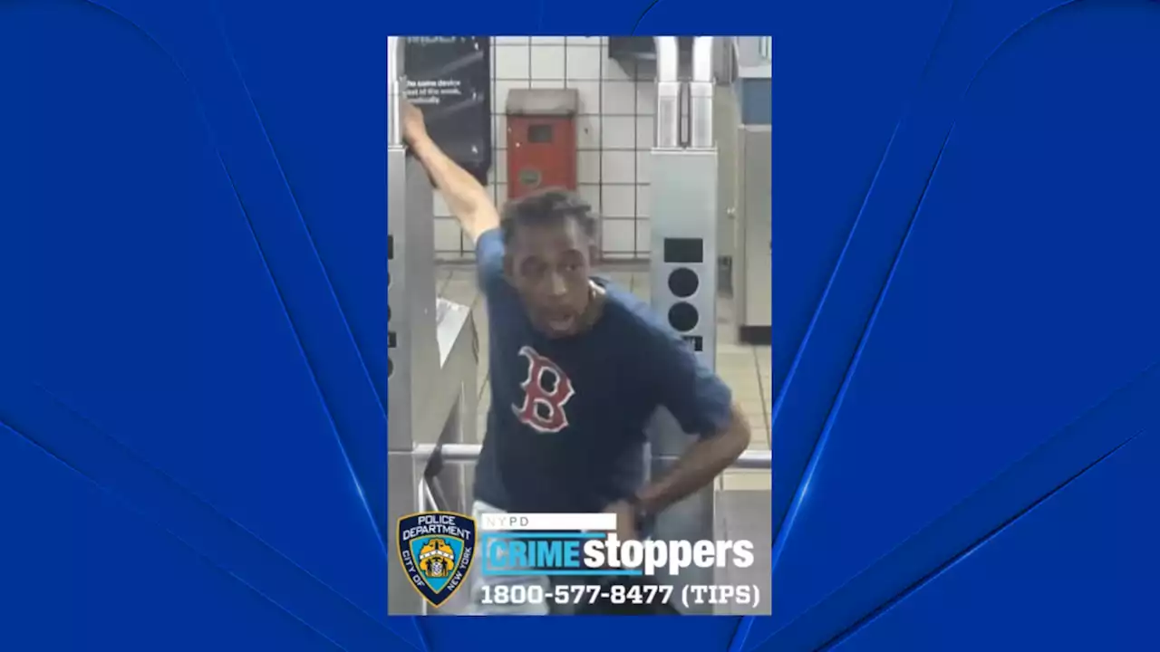 Suspect Gropes Teen Girl in Times Square, Punches Victim's Father in Face: Police