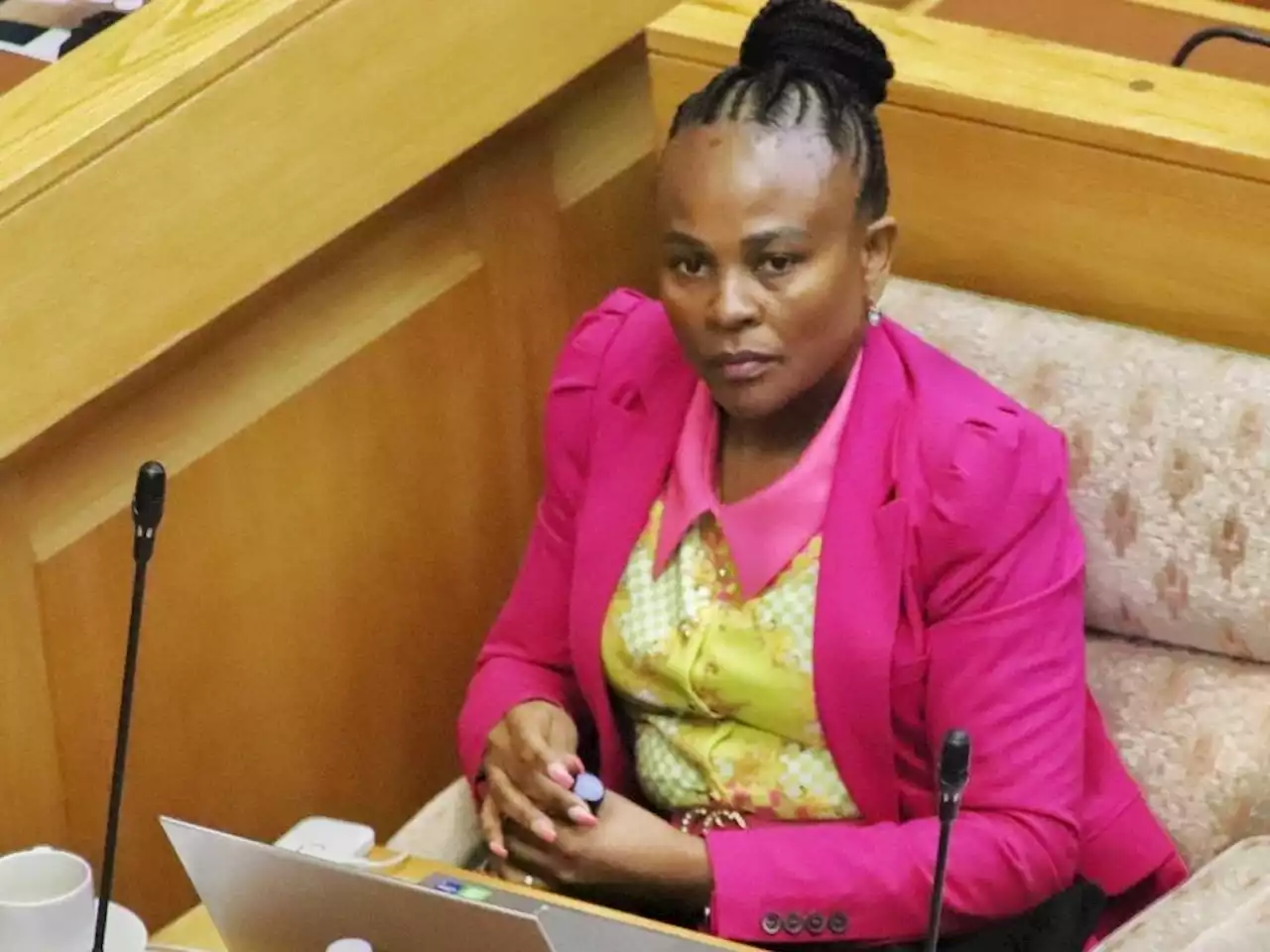 Mkhwebane 'desired' no adverse findings in Vrede dairy probe, Section 194 witness tells inquiry | News24