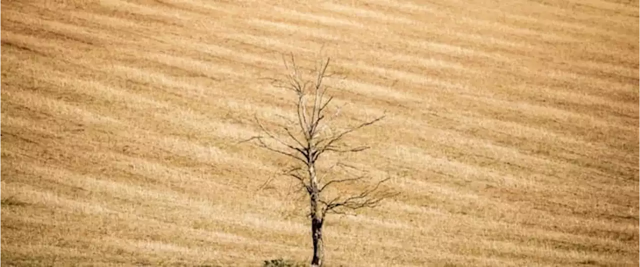 Drought Is Driving European Energy Markets Toward Disaster | OilPrice.com