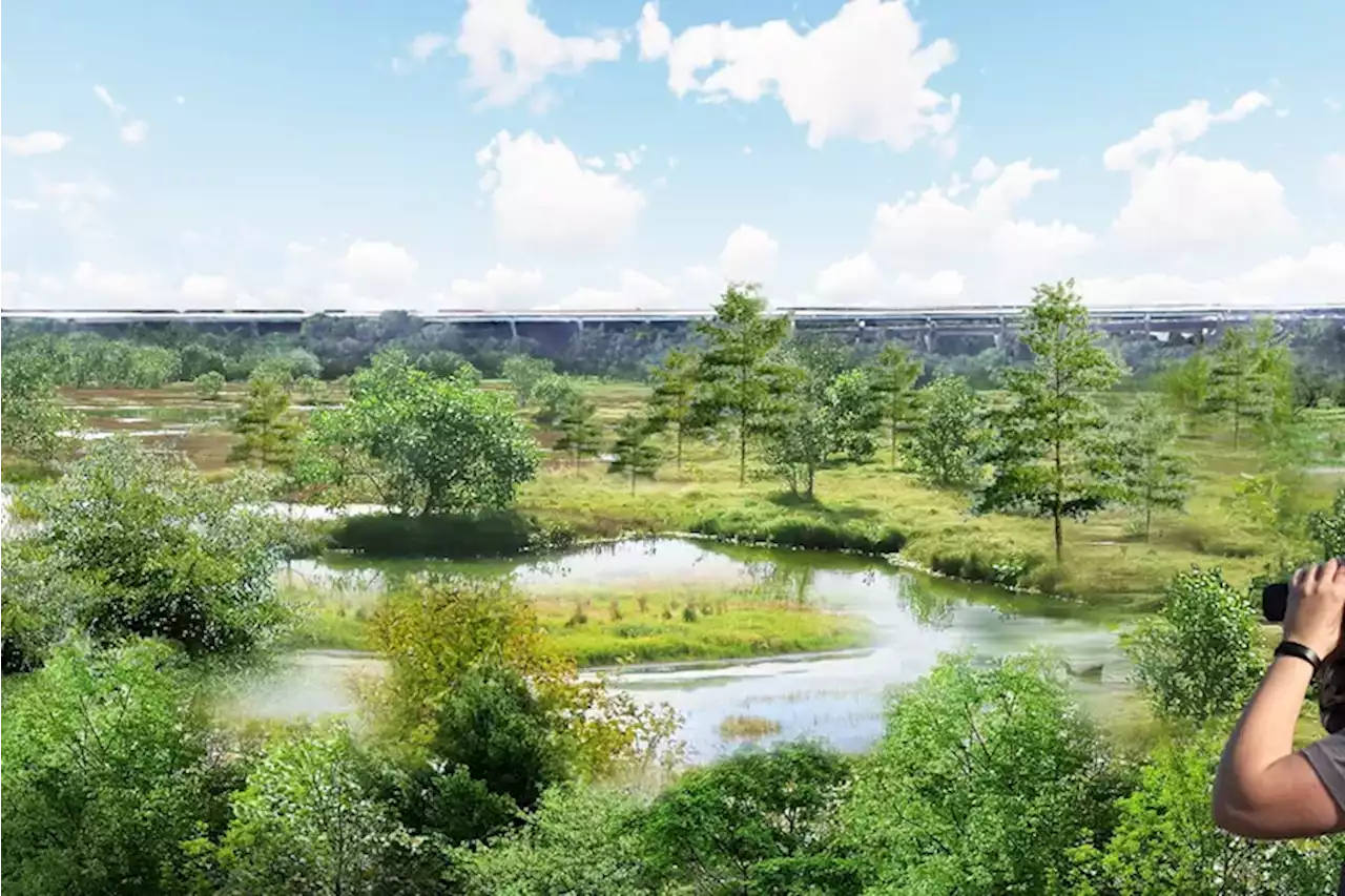 A 33-acre wetland project at FDR Park will break ground soon