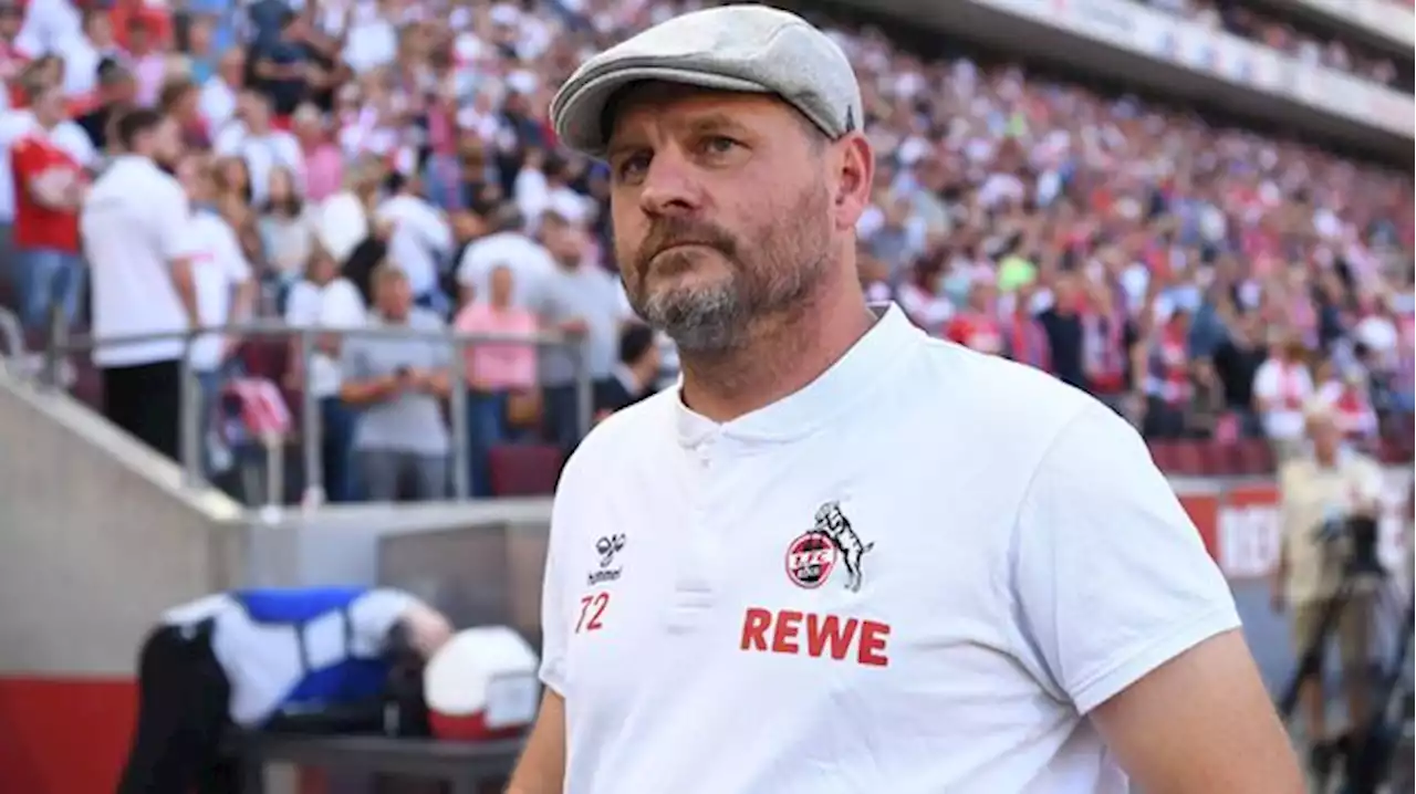 International - Europa Conference League - 1. FC Köln vor Qualifikation: Kölsche Euphorie ganz in Rot