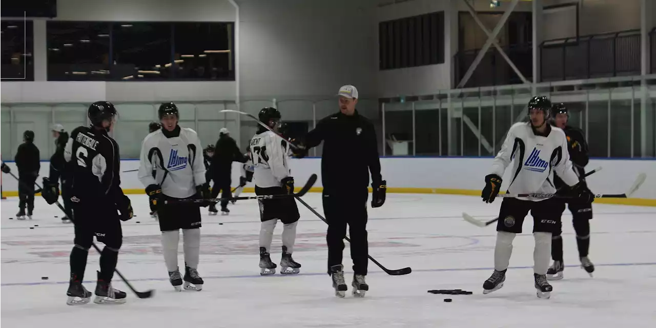 Cape Breton Eagles' hopefuls hit the ice during training camp sessions | SaltWire