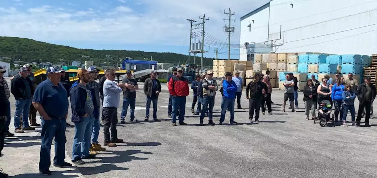 LETTER: Profit over people: Royal Greenland isn’t here to help Newfoundlanders | SaltWire