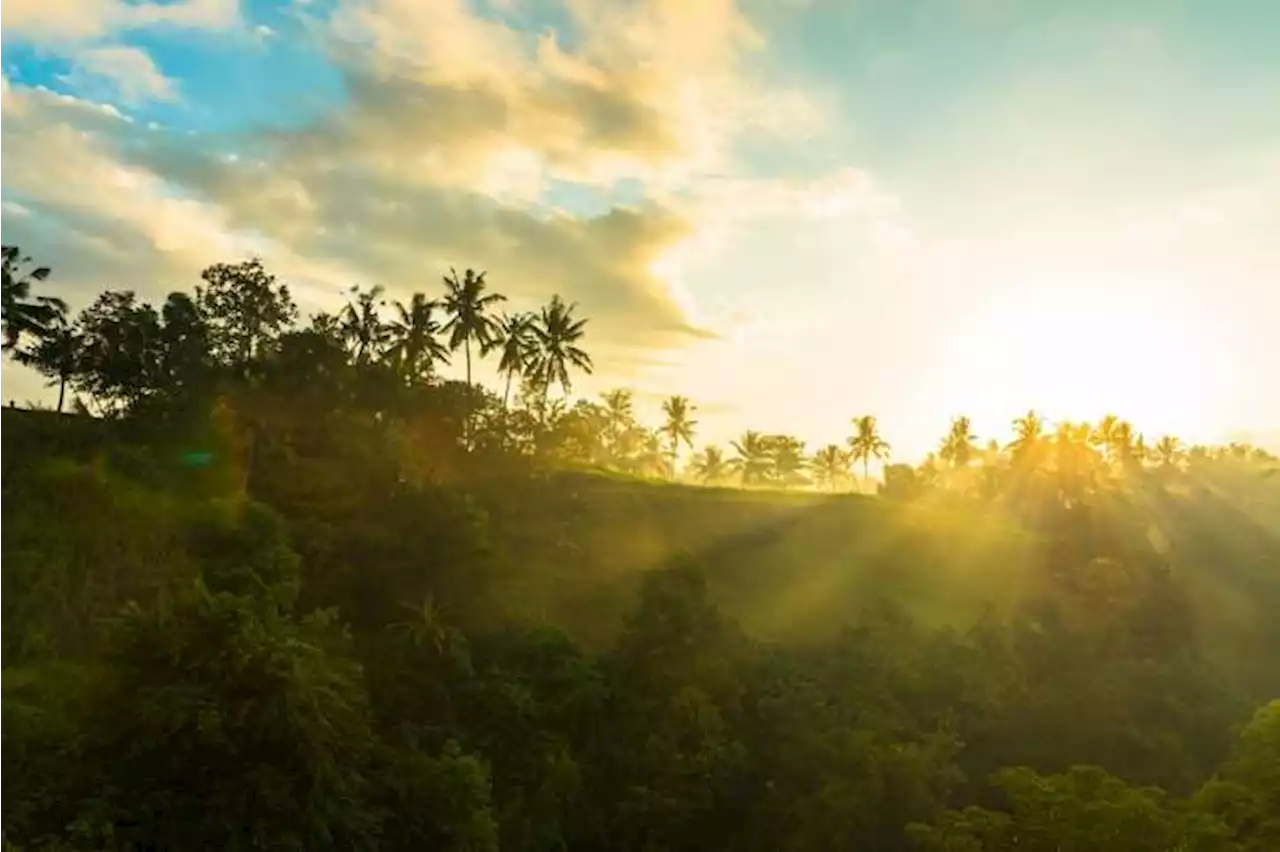 Suhu Capai 33 Derajat Celcius, Simak Prakiraan Cuaca Madiun Kamis Ini