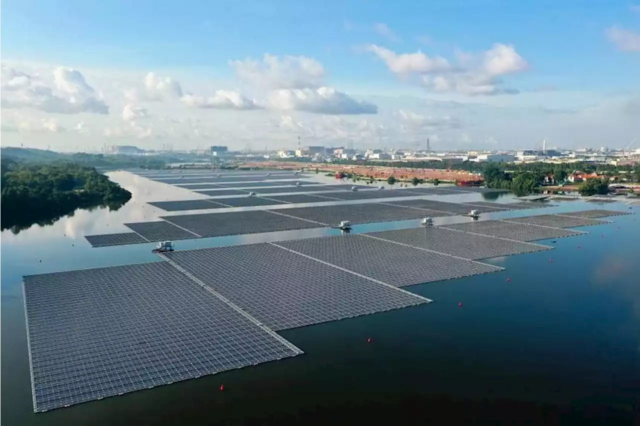 Floating solar panel systems, water reclamation plant in S'pore could be financed by green bonds: PUB