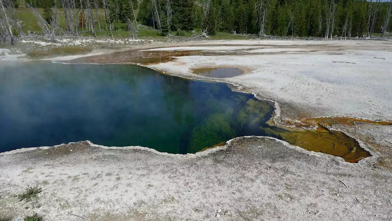 Partial foot found in shoe floating in Yellowstone hot springs