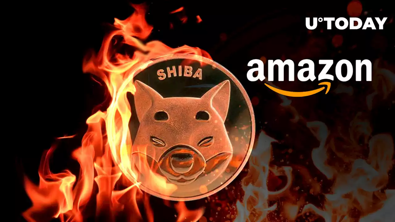 15 Million SHIB Burned via Amazon in August: Details