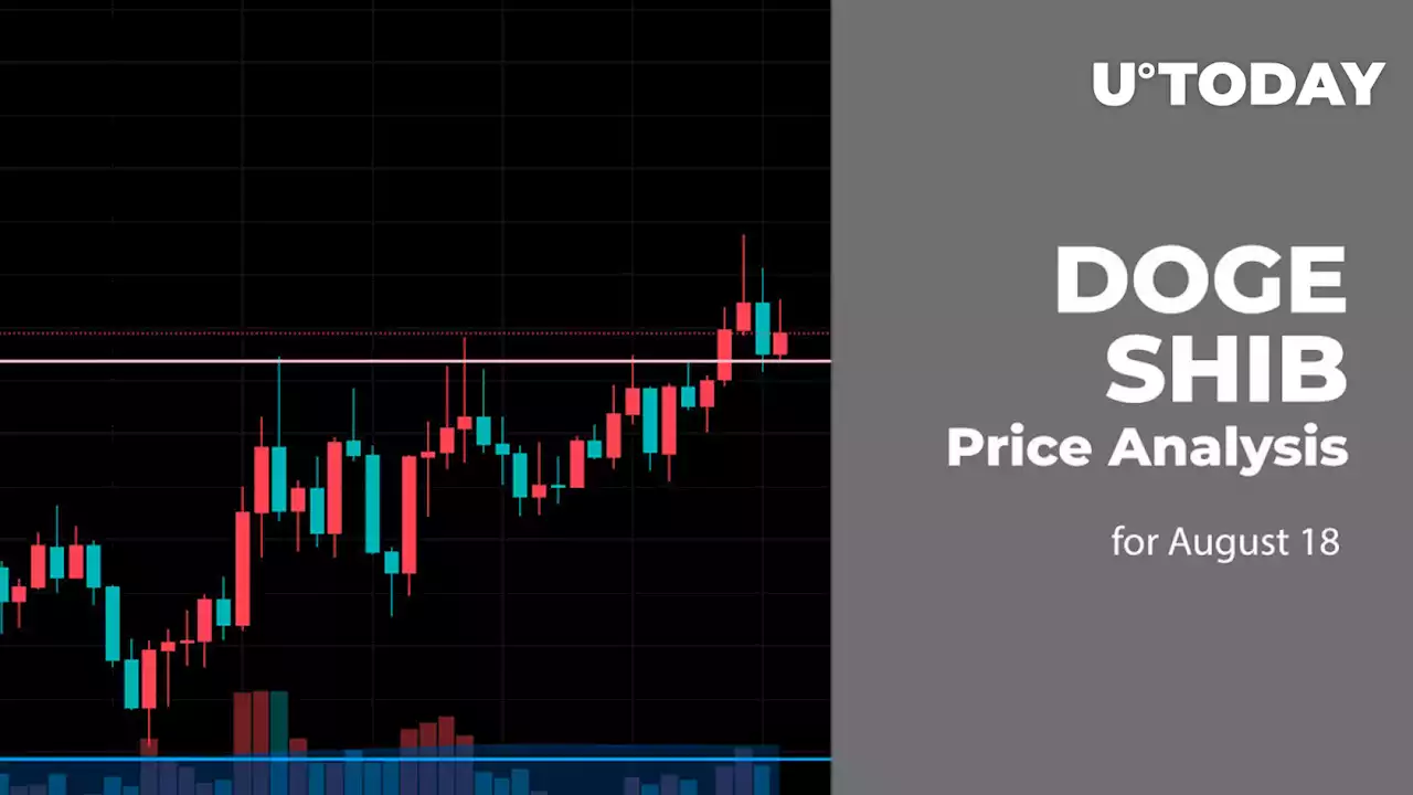 DOGE and SHIB Price Analysis for August 18