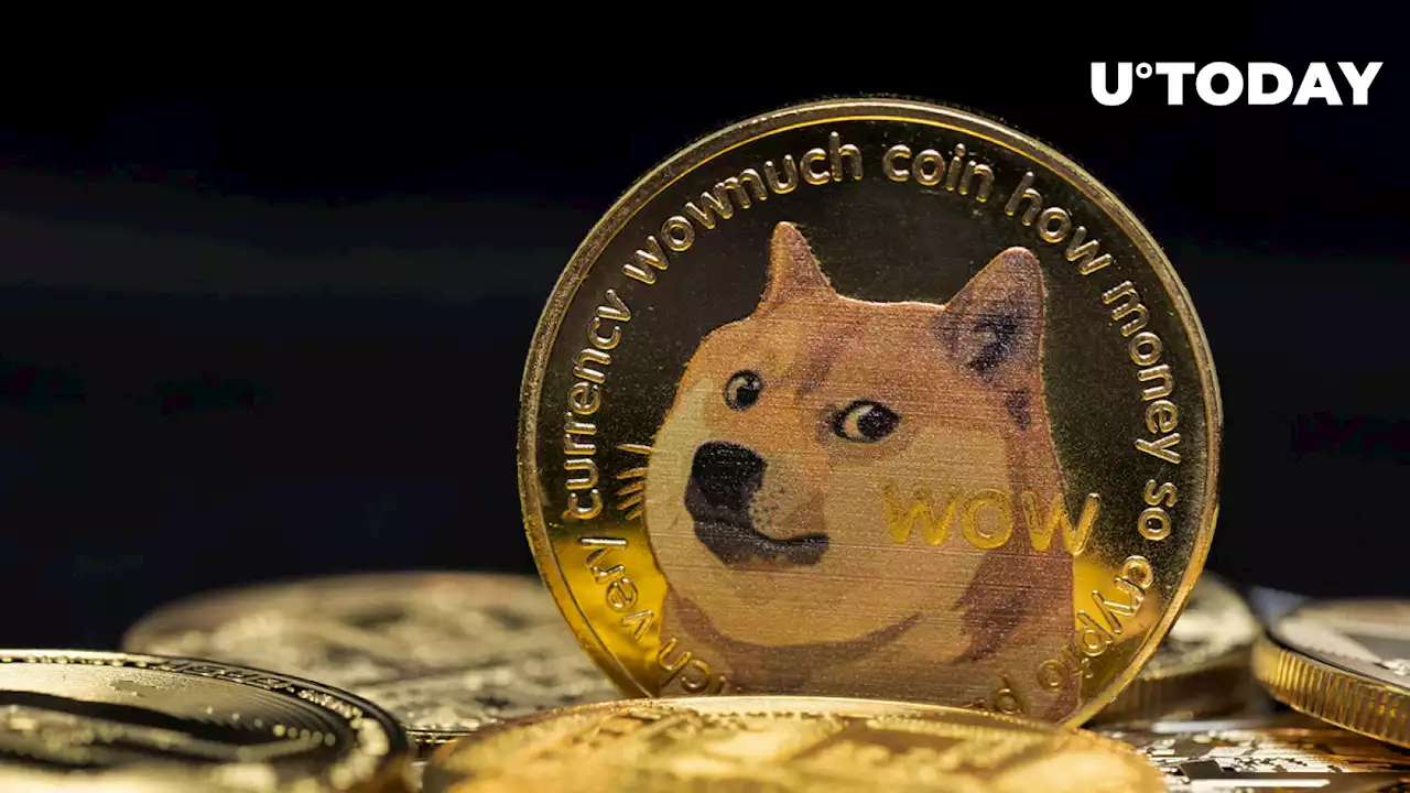 DOGE Support Added by New Crypto Exchange