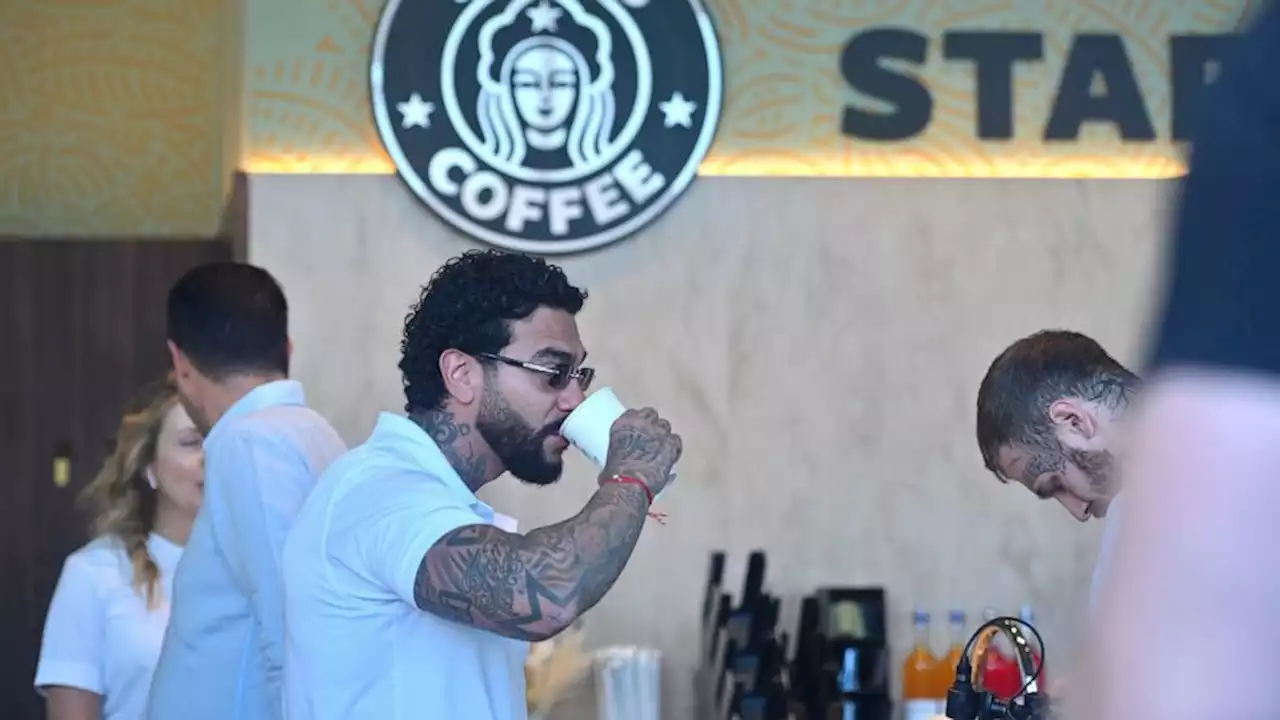 Stars Coffee, anyone? Starbucks successor opening in Russia