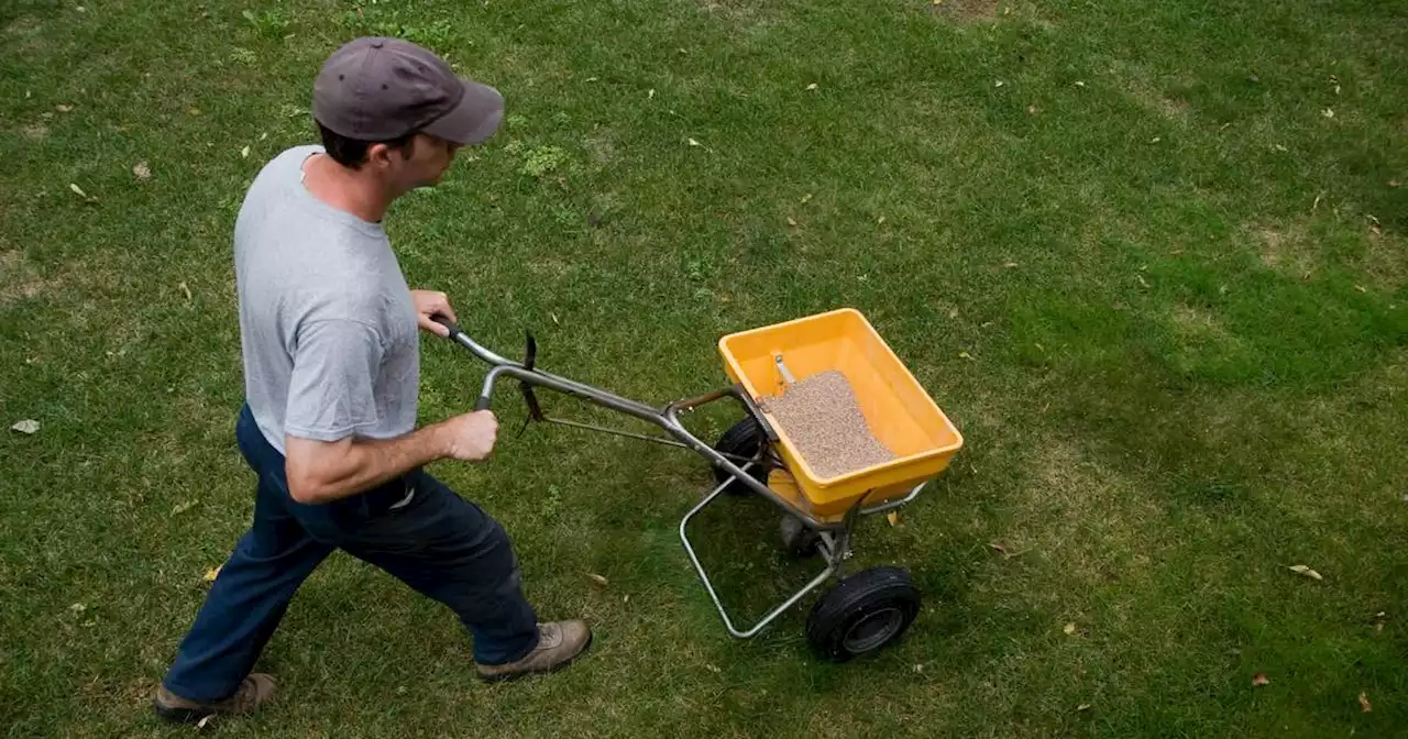 Do you really need to use chemical fertilizers on your lawn and garden?