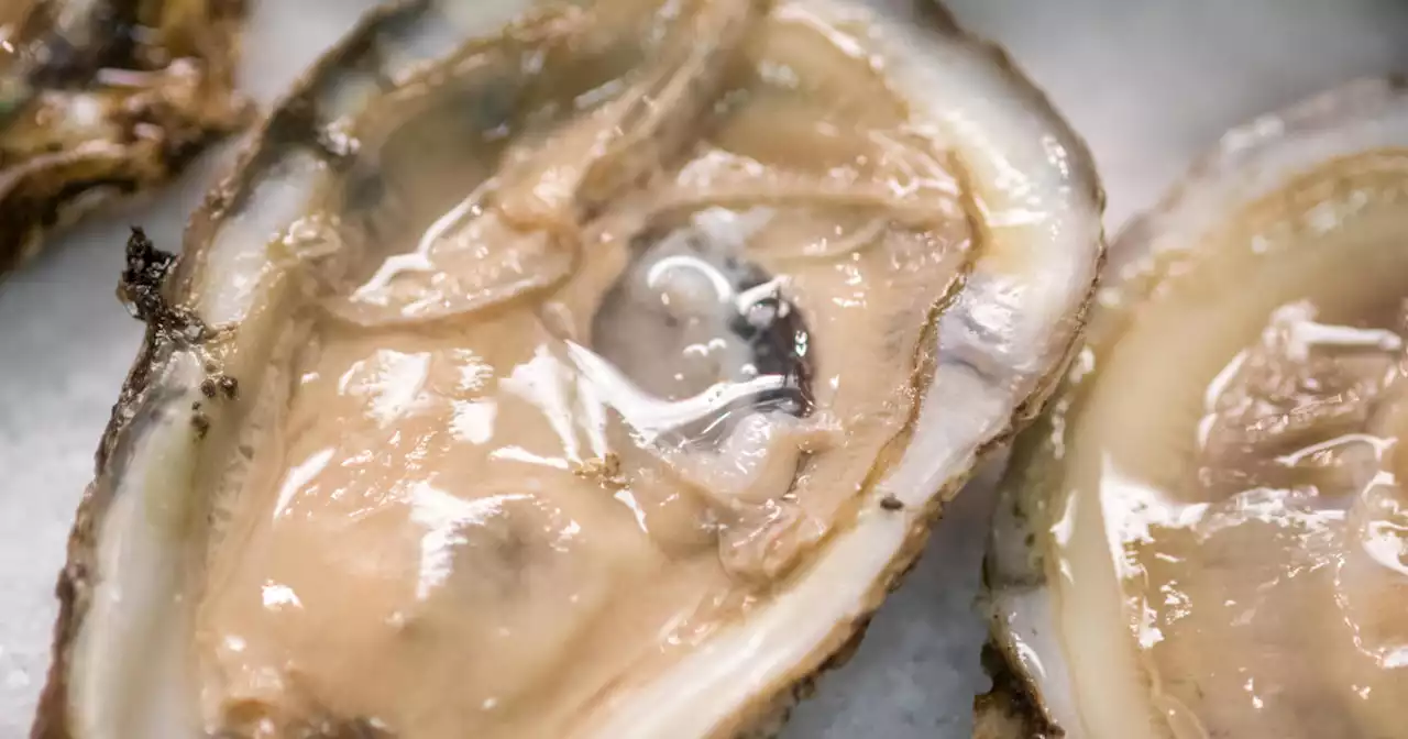 Raw oysters linked to 2 deaths in Florida