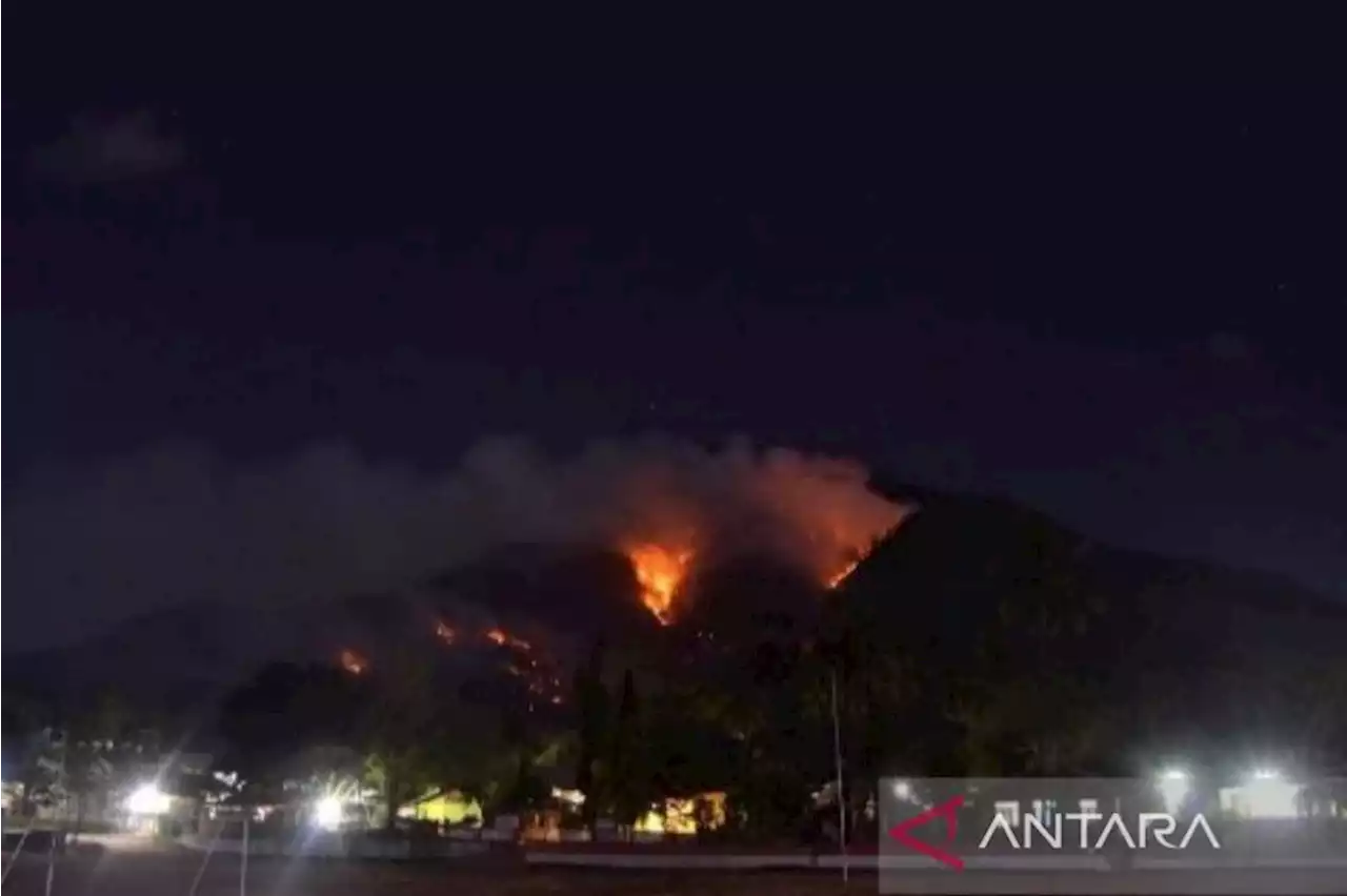 BMKG: Waspadai seluruh wilayah NTT berstatus sangat mudah terbakar