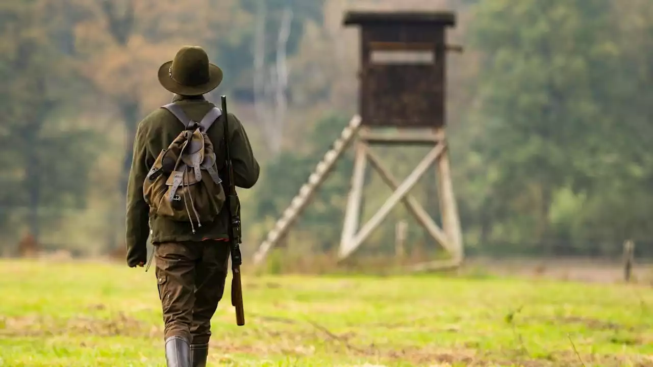 Es gibt gute Gründe, auf die Jagd zu gehen