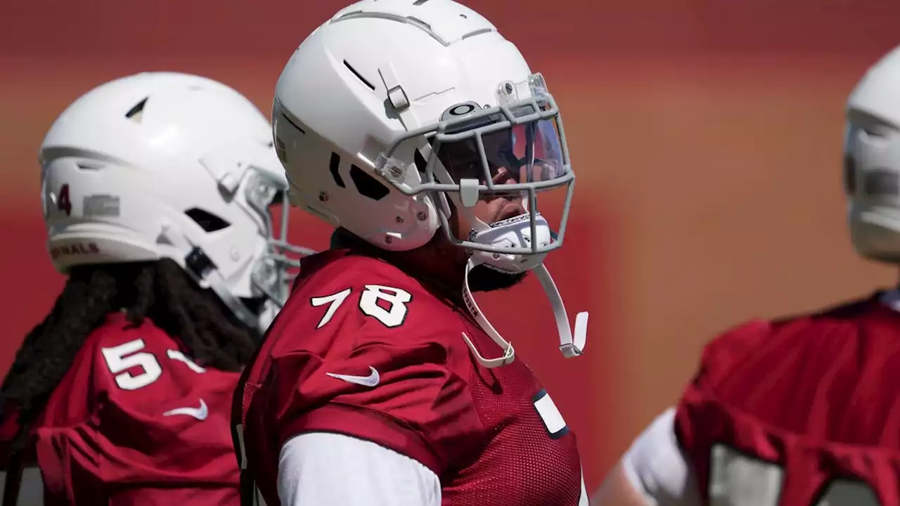 Arizona Cardinals notebook: O-line has a 'Fridge,' but also a 'Freezer' in rookie Marquis Hayes