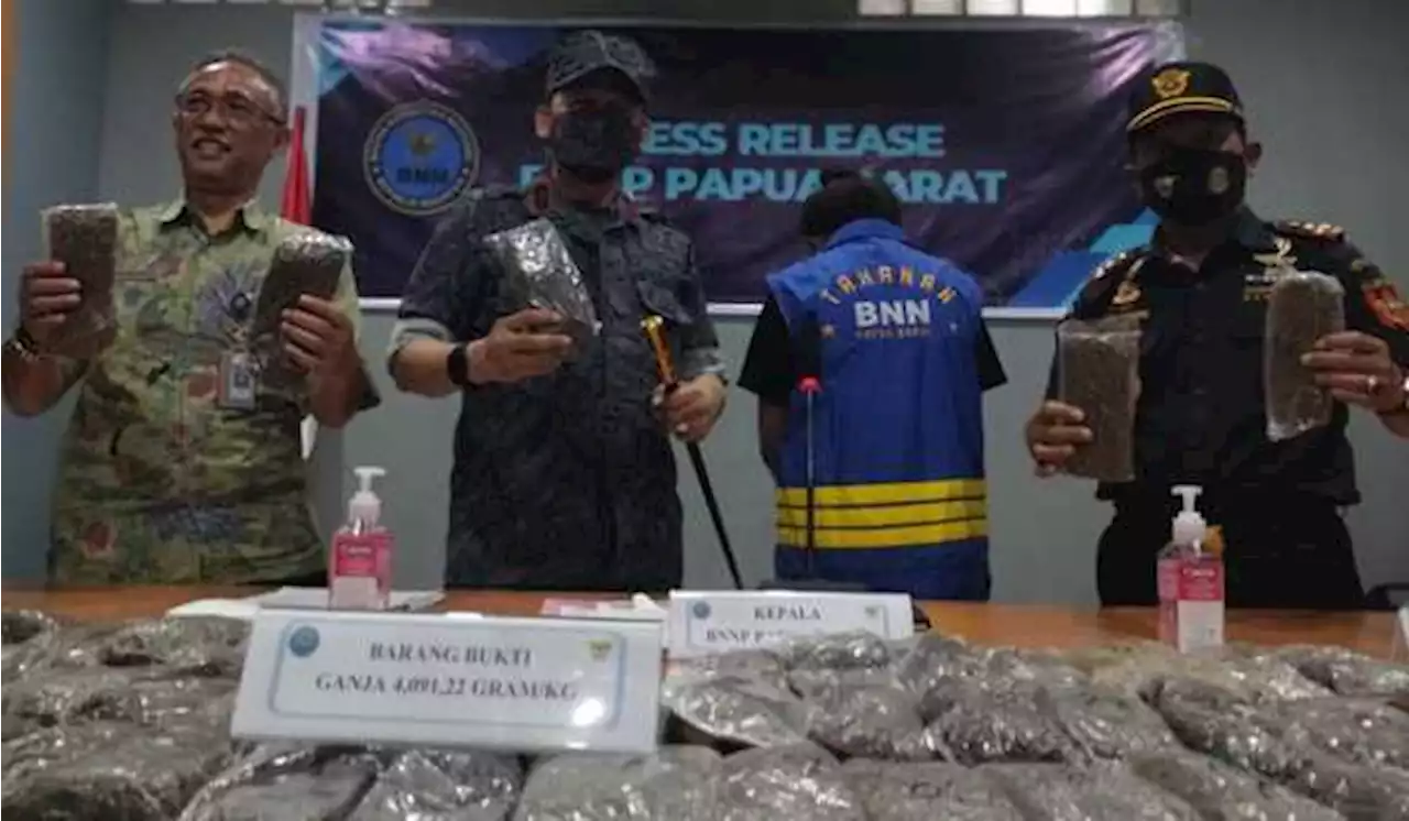 Mahasiswi Bawa 4,1 Kilogram Ganja Ditangkap